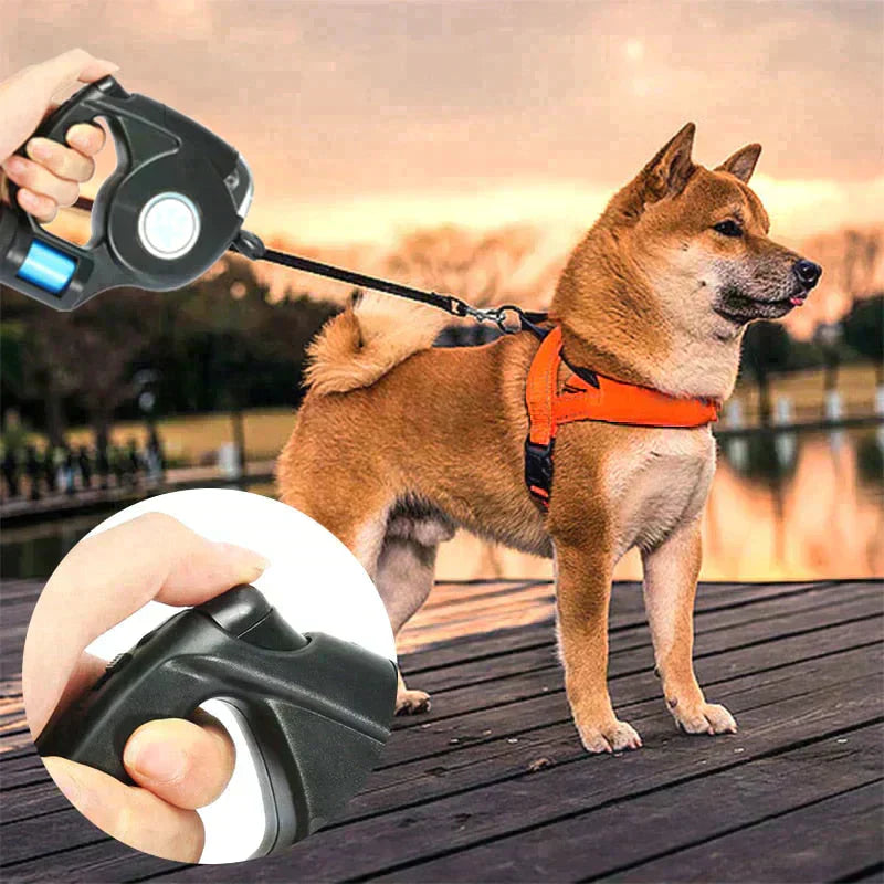 3 in 1 Dog Leash Petritzy