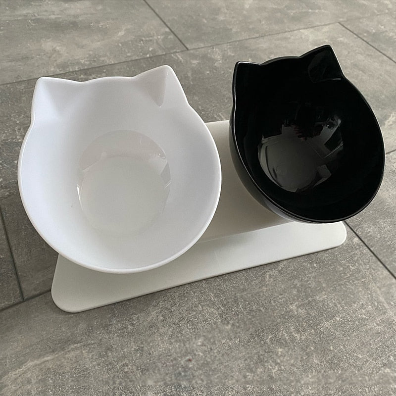 Double Pet Bowl