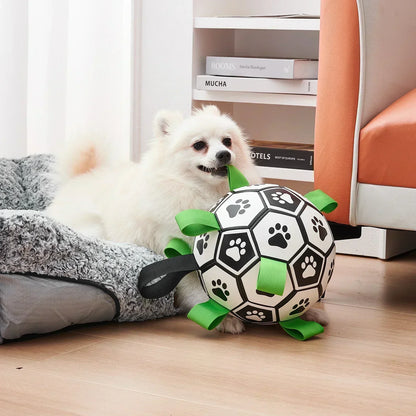 Dog Soccer Ball