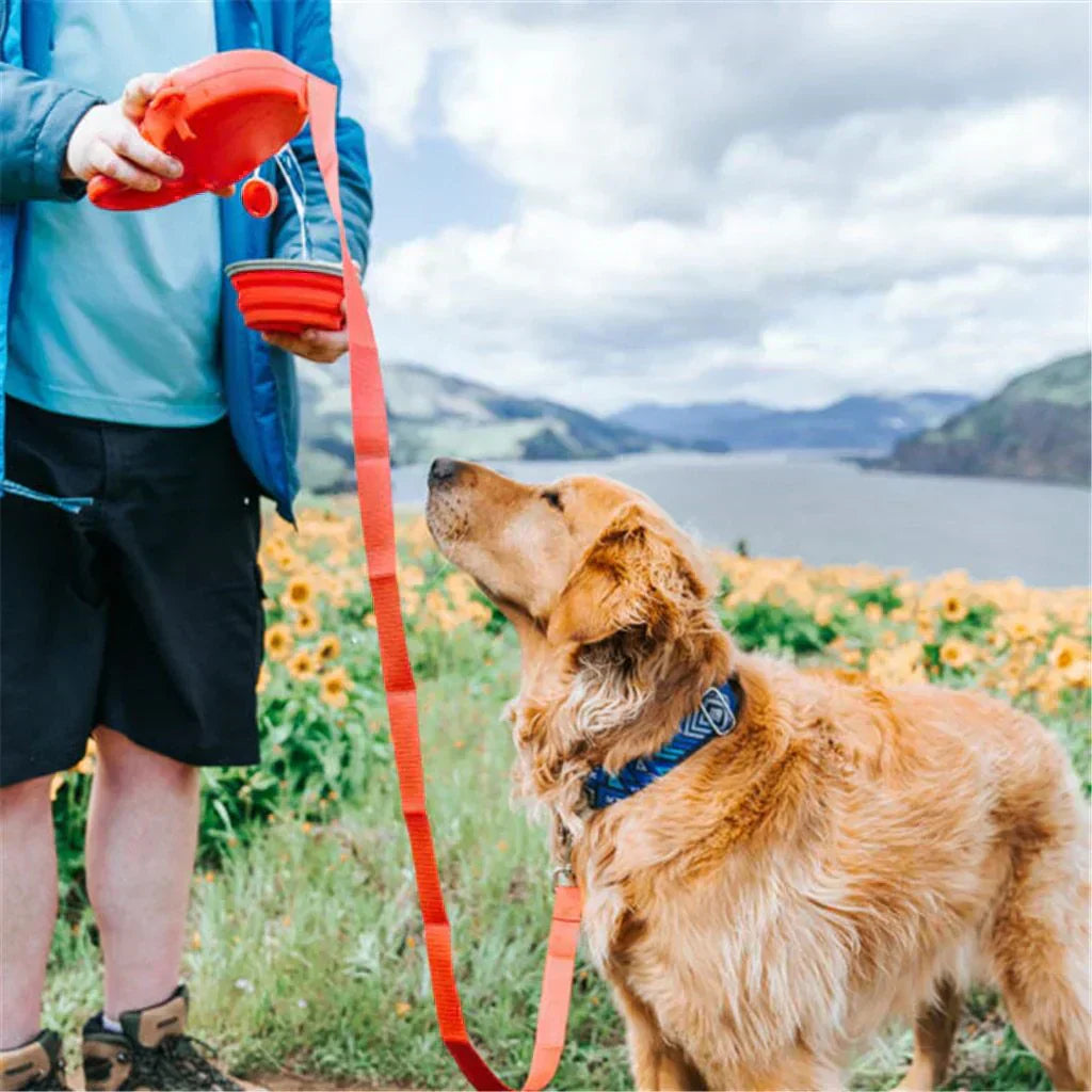 Multi-functional Dog Leash